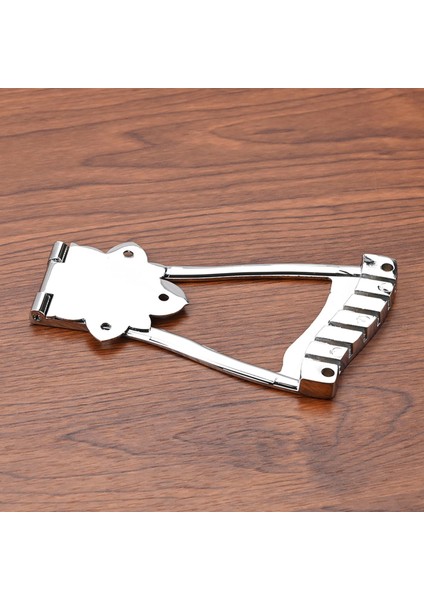 Yamuk Kuyruk Parçası Içi Boş Archtop (Yurt Dışından)