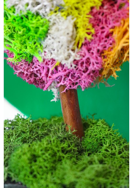 Dear Moss Ağaç - Kolaj Kalp Moss Ağaç