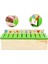 Hamaha Wooden Toys Ahşap Eğitici Geliştirici Bilgi Sınıflandırma Kutusu Mazgal Oyuncak 2