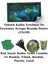 The Good Dinosaur (Iyi Bir Dinazor) Afişli 24 Kişilik Doğum Günü Parti Malzemeleri Süsleri Seti L x st 3