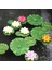 Yapay Yüzen Köpük Lotus Yaprakları Dekoru Gölet Akvaryumu ve Sahne Için Gerçekçi Lotus Yaprakları Yeşil Bitki Balık Havuzu Dekorasyonu Için 8, 4 Boyutlu Paket (10, 15, 20, 28CM) (Yurt Dışından) 4