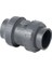 50 mm Pvc Yaylı Çekvalf 2