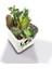 DEKORATİF BUZLU CAM MUMLUK LOVE DESEN 8X8 CM (2 Adet) 3