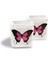 DEKORATİF BUZLU CAM MUMLUK KELEBEK DESEN 8X8 CM (2 Adet) 4