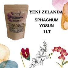 Allure Orchid Sphagnum Yosunu 1 Lt