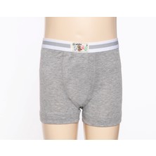 Yıldız Çamaşır Yıldız 6'lı Erkek Çocuk Pamuk Likralı Boxer Q400