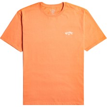 Billabong Arch Crew Ss Erkek Tişört