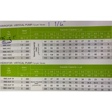 Yıldız Su HMC-10VC 3 Hp 220V Paslanmaz Dik Milli Kademeli Hidrofor Su Pompası - Süper Sessiz - 6 Ton Serisi
