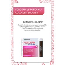 Arkopharma Forderm by Forcapil® Collagen Booster