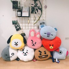 Hermoso 30 cm Kpop Bts Bangtan BT21 Yastık Bebek Yastık Peluş Oyuncak, G (Yurt Dışından)