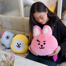 Hermoso 30 cm Kpop Bts Bangtan BT21 Yastık Bebek Yastık Peluş Oyuncak, G (Yurt Dışından)