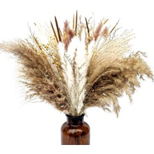 Hermoso Kurutulmuş Pampas Çim 45CM Fotoğraf Düğün Için Kurutulmuş Çiçekler Dekor (Yurt Dışından)