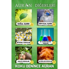 Auran Ylang Ylang Esansiyel Uçucu Yağ, Esans Koku Yağı Oda Kokusu 500 ml