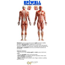 Welltures Global Epıwell ( BANDI)