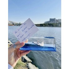 Bilger Batmayan Gemi Aşk Gemisi Akvaryum Fanus