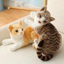 Cingo Kedi Peluş Bebek Çocuk Bebeği (Yurt Dışından)