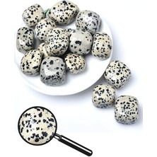 Tesbih Atölyesi Sertifikalı Tamburlanmış Dalmaçyalı Jasper Taşı Kütle