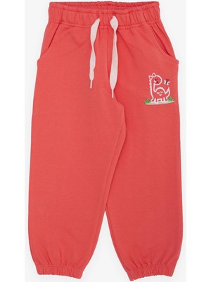 Breeze Kız Çocuk Alt Sevimli Dinozor & Kelebek Nakış Baskılı 1-4 Yaş, Narçiçeği