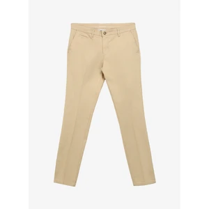 Altınyıldız Classics Normal Bel Dar Paça Slim Fit Vizon Erkek Pantolon 4A0124100064