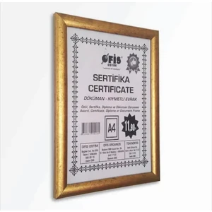 As Ticaret 21X30 A4 Fotoğraf Belge Resim Çerçevesi Sertifika Pvc Camlı altın eskitme