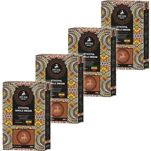 Addis Ababa Coffee Coffee Professional Premium Gold Collection Etiyopya Single Origin 250 gr x 4