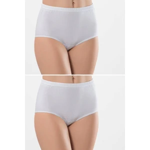 Kadın Mini Bayan Külot (2li Paket)