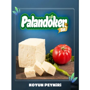 Palandöken Süt Olgunlaştırılmış Koyun Peyniri