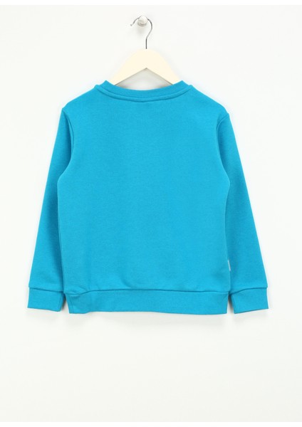 Kabartma Erkek Çocuk Turkuaz Sweatshırt HRBTXT300 Haribo Çocuk Sweatshirt modelleri
