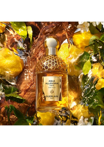 Oud Yuzu Forte Edp Parfüm
