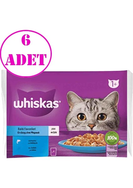 Pouch Jöle Içinde Somonlu ve Ton Balıklı Yetişkin Kedi Konservesi 85GR (4'lü)6 Ad
