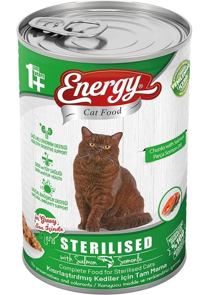 Cat Food Energy Somonlu Kısırlaştırılmış Islak Kedi Maması 400G