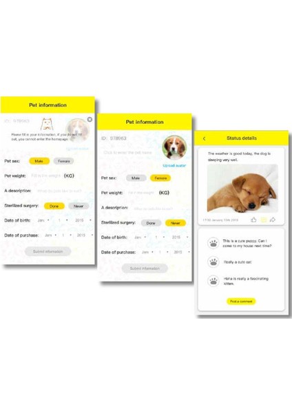 Köpek Künyesi Isimlikli PT095-1