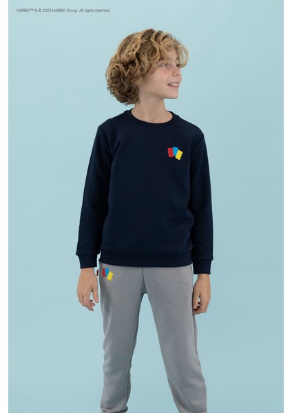 Kabartma Erkek Çocuk Lacivert Sweatshırt HRBTXT300 Haribo Çocuk Sweatshirt