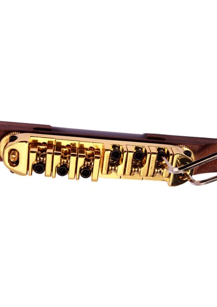 Altın Silindir Üsü Archtop Için Ğı Tabanı (Yurt Dışından)