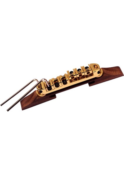 Altın Silindir Üsü Archtop Için Ğı Tabanı (Yurt Dışından)