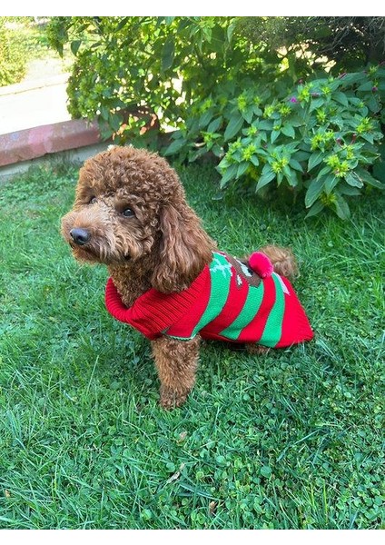 Kırmızı Xmas Deer Küçük Köpek Kazağı fiyatları