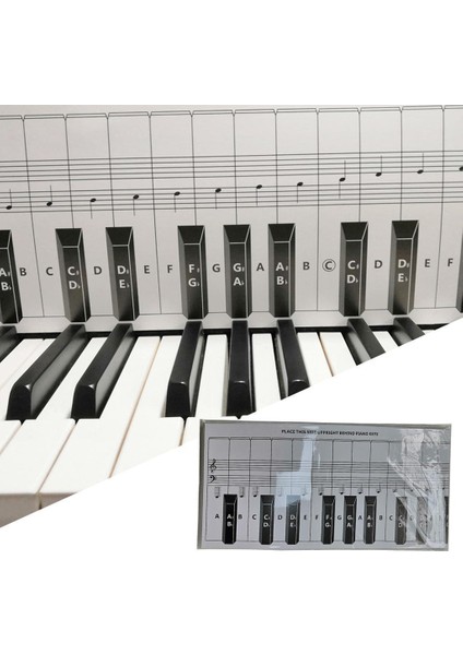 Alıştırma Klavyesi Tablosu,1: Alıştırma Karton (Yurt Dışından) fırsatları