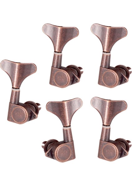 5 Parçalı Akustik Aleti (4 Sağ + ) (Yurt Dışından)