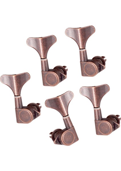 5 Parçalı Akustik Aleti (4 Sağ + ) (Yurt Dışından) modelleri