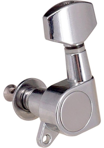 6l Tuning Peg Başkanı Akustik Popüler Elektro 3l (Yurt Dışından) modelleri