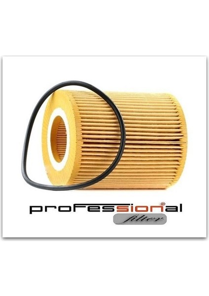 Yag Fıltresı 306DT Dıscovery 4 L319 09 18 Dıscovery 5 L462 16 R.r 4 L405 13 R.r