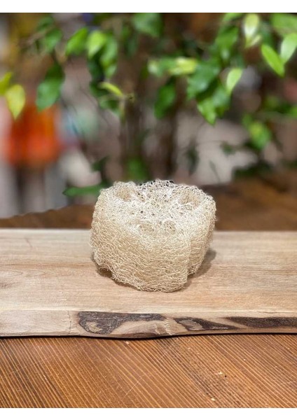 Doğal Kabak Lifi (Dilim) 1 Adet fiyatları