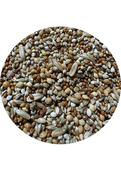 Yavru ve Hasta Kuş Yemi 2 kg (ÖZEL VAKUMLU AMBALAJ)