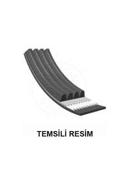 Kanallı Kayış Peugeot Partner Berl 1.8d 1.9d 8V 96-98 Boxer 3.0hdı 306 2.0 Renau