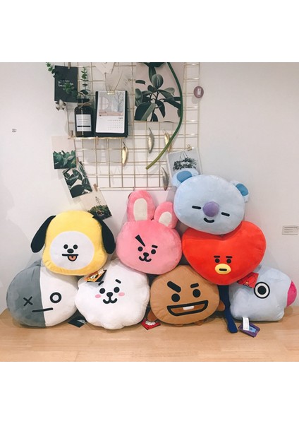 30 cm Kpop Bts Bangtan BT21 Yastık Bebek Yastık Peluş Oyuncak, G (Yurt Dışından)