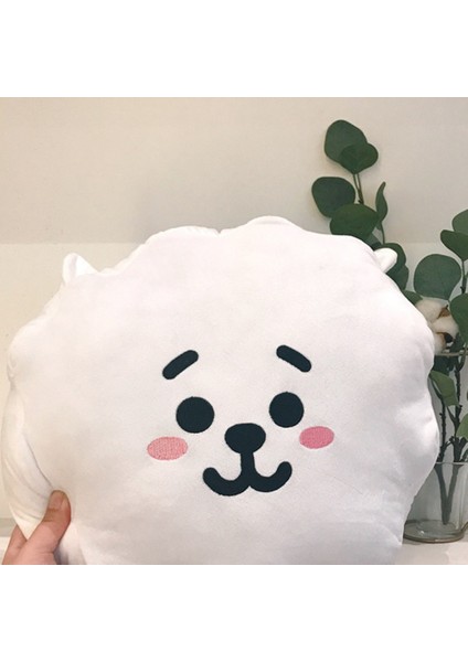 30 cm Kpop Bts Bangtan BT21 Yastık Bebek Yastık Peluş Oyuncak, G (Yurt Dışından)