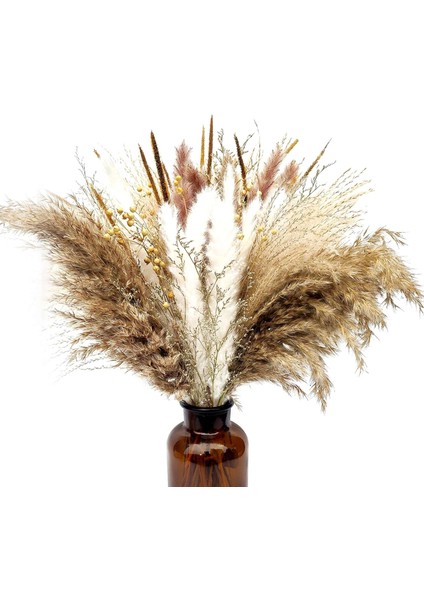 Kurutulmuş Pampas Çim 45CM Fotoğraf Düğün Için Kurutulmuş Çiçekler Dekor (Yurt Dışından)