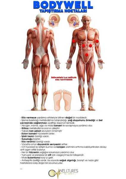 Bodywell (ZAYIFLAMA BANDI)