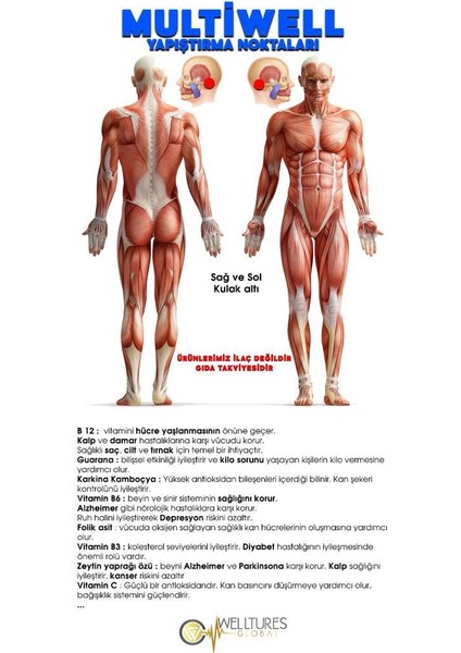 Multıwell (B12 VİTAMİN BANDI,STRESE SON) fiyatları