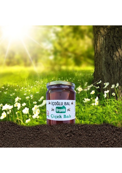 Sertifikalı Süzme Çiçek Balı 500 gr